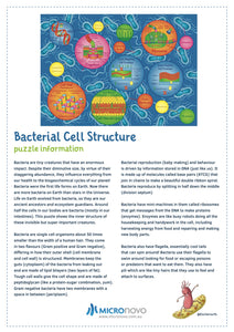 500 piece bacterial cell structure puzzle